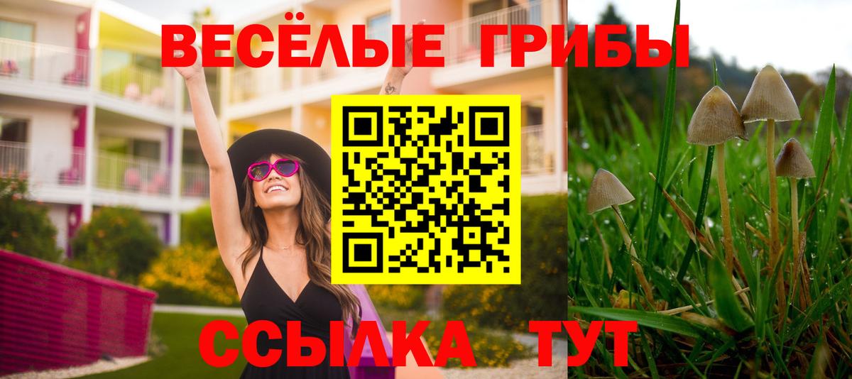 Нефтеюганск  Галлюциногенные грибы MAGIC MUSHROOMS  как найти закладки  Вход с VPN 