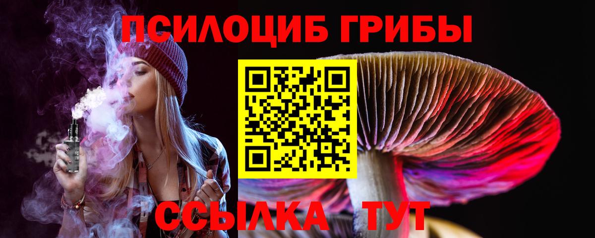 Галлюциногенные грибы Psilocybine cubensis Нефтеюганск